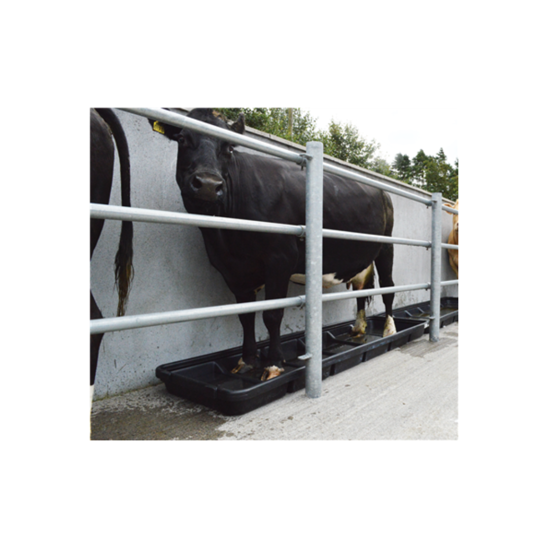 Narrow Interlocking Footbath
