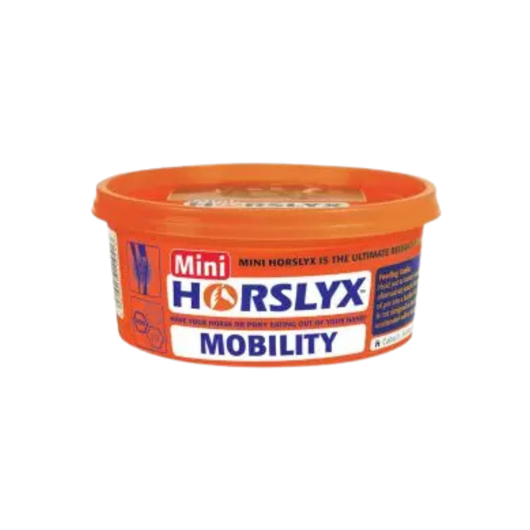 Horslyx Mini 650gm